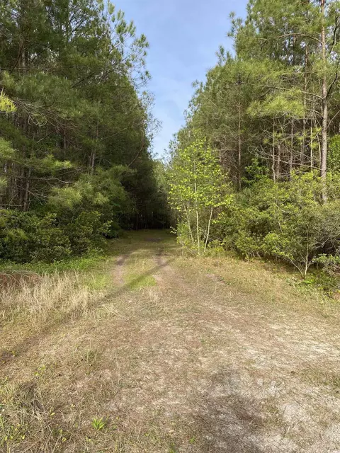 9 61 Acres Hugo Rd, Conway, SC 29527