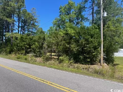 View/Area - 158 Thrush Ct, Georgetown, SC 29440 photo 1 of 5