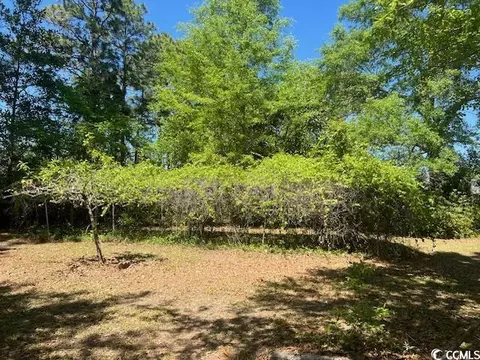 Exterior - 158 Thrush Ct, Georgetown, SC 29440 photo 6 of 10