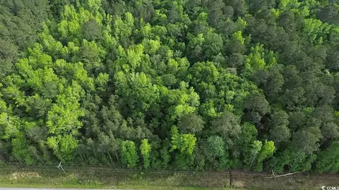 Tbd Walker Rd., Georgetown, SC 29440 photo 2