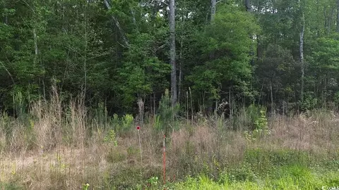 Tbd Walker Rd., Georgetown, SC 29440 photo 3