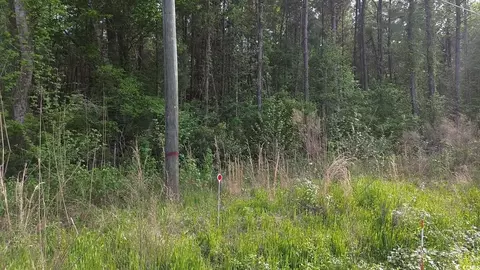 Tbd Walker Rd., Georgetown, SC 29440 photo 4