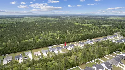 View/Area - 5195 Huston Rd, Conway, SC 29526 photo 3 of 3
