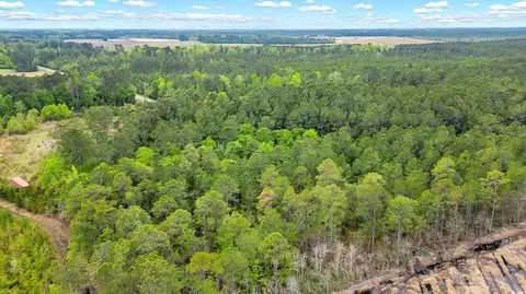 tbd Watts Rd, Loris, SC 29569 photo 17