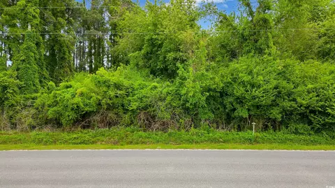 tbd Watts Rd, Loris, SC 29569 photo 2