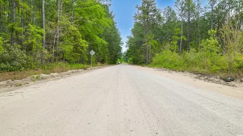 tbd Watts Rd, Loris, SC 29569 photo 5