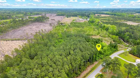 tbd Watts Rd, Loris, SC 29569 photo 19