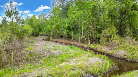 tbd Watts Rd, Loris, SC 29569 photo 23