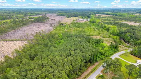 tbd Watts Rd, Loris, SC 29569 photo 18