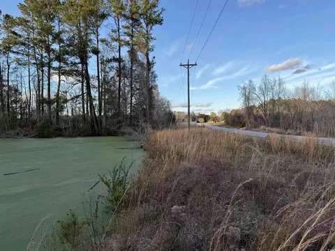 Tbd S Nichols Hwy., Galivants Ferry, SC 29544