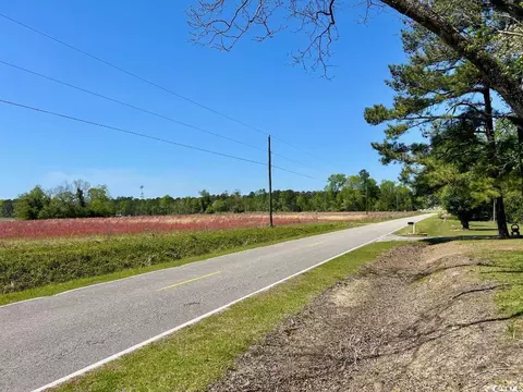 Highway 792, Loris, SC 29569 photo 2