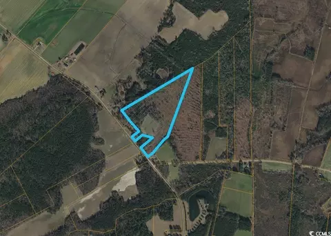 Highway 792, Loris, SC 29569 photo 7