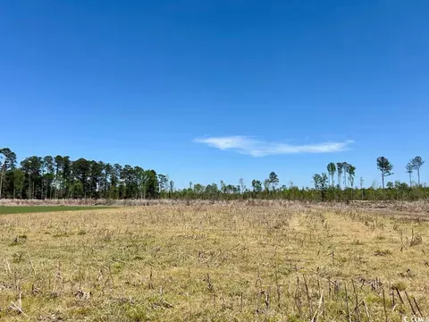 Highway 792, Loris, SC 29569 photo 3