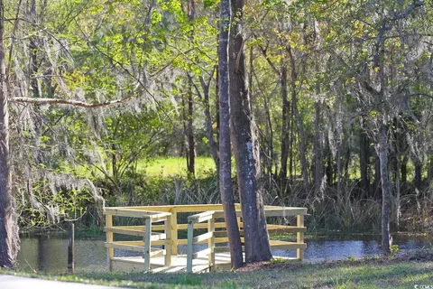 712 Belle Rive Rd, Georgetown, SC 29440 photo 16