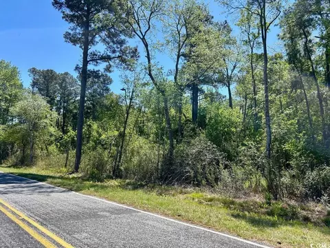 Hamp Rd., Marion, SC 29571 photo 2