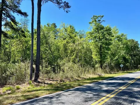 Hamp Rd., Marion, SC 29571 photo 3