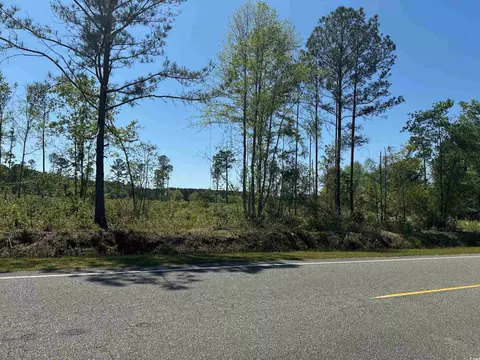 Tbd W Bear Grass Rd., Loris, SC 29569