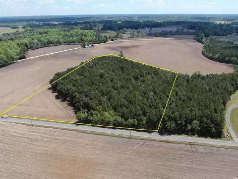 tbd Mcclellan Rd, Hamer, SC 29547 photo 11