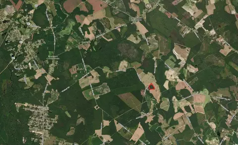 tbd Mcclellan Rd, Hamer, SC 29547 photo 12