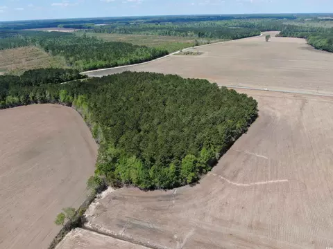 tbd Mcclellan Rd, Hamer, SC 29547 photo 6