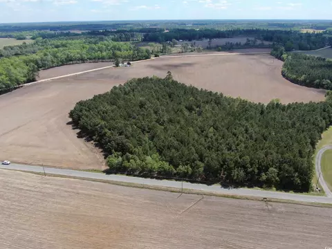 tbd Mcclellan Rd, Hamer, SC 29547 photo 5