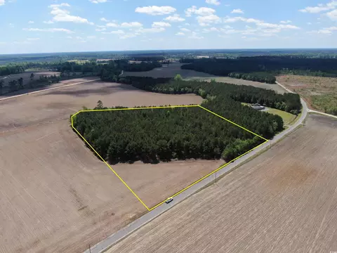 tbd Mcclellan Rd, Hamer, SC 29547 photo 10