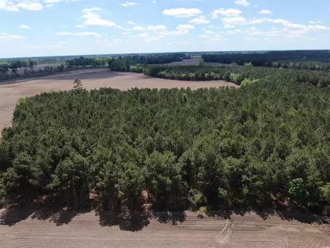 tbd Mcclellan Rd, Hamer, SC 29547 photo 4