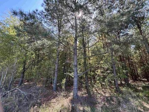 tbd Mcclellan Rd, Hamer, SC 29547 photo 13