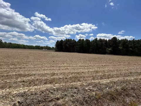 tbd Mcclellan Rd, Hamer, SC 29547 photo 3