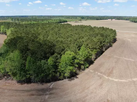tbd Mcclellan Rd, Hamer, SC 29547 photo 7