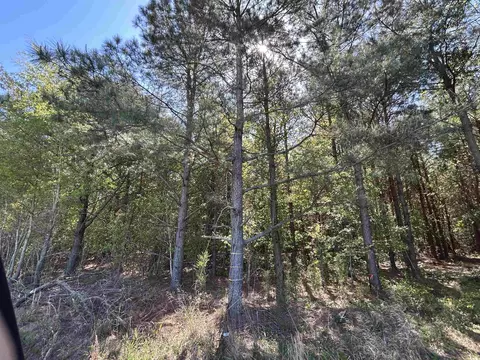 tbd Mcclellan Rd, Hamer, SC 29547 photo 14