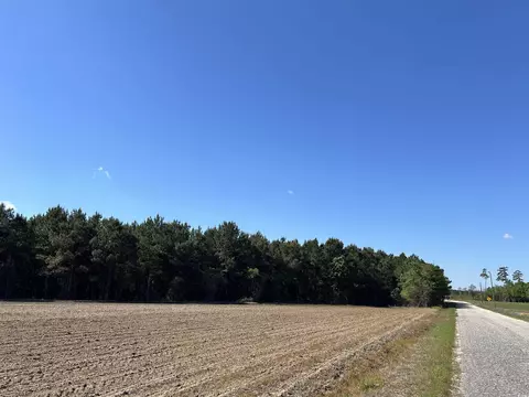 tbd Mcclellan Rd, Hamer, SC 29547