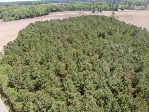 tbd Mcclellan Rd, Hamer, SC 29547 photo 8