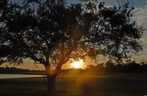 View/Area - 2671 Luvan Blvd, Georgetown, SC 29440 photo 6 of 7