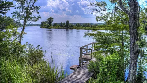 View/Area - 3363 Choppee Rd, Georgetown, SC 29440 photo 1 of 5