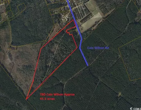 tbd Cain Wilson Rd, Conway, SC 29526