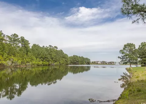 View/Area - 669 Evers Loop, Surfside Beach, SC 29575 photo 5 of 7