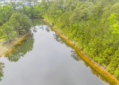 View/Area - 669 Evers Loop, Surfside Beach, SC 29575 photo 7 of 7