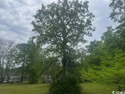 tbd Thrush Ct, Georgetown, SC 29440 photo 4