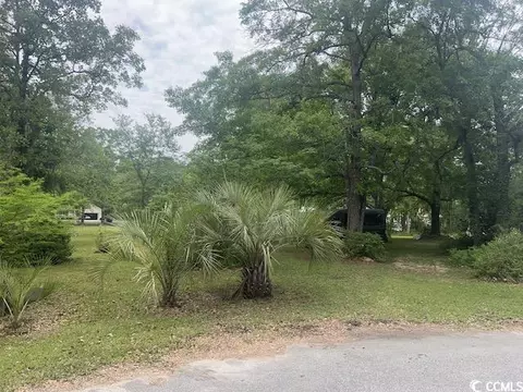 tbd Thrush Ct, Georgetown, SC 29440 photo 5