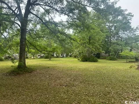 Tbd Thrush Ct., Georgetown, SC 29440