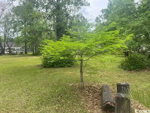 tbd Thrush Ct, Georgetown, SC 29440 photo 3