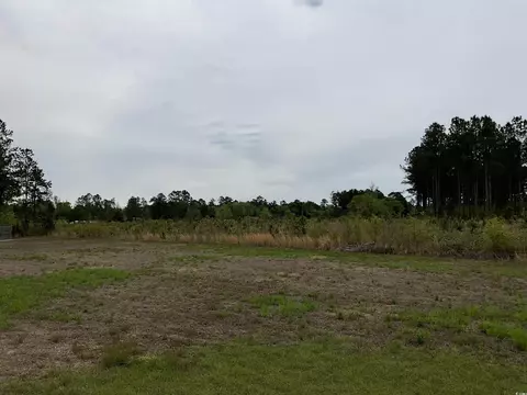 817 Highway 67, Loris, SC 29569 photo 10