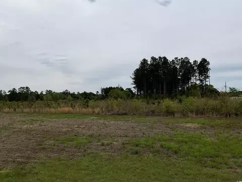 817 Highway 67, Loris, SC 29569 photo 9