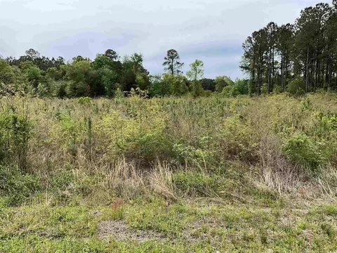 817 Highway 67, Loris, SC 29569 photo 4
