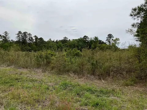 817 Highway 67, Loris, SC 29569 photo 5