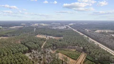 Tbd Ashley Circle, Conway, SC 29526 photo 2