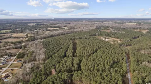 Tbd Ashley Circle, Conway, SC 29526 photo 4