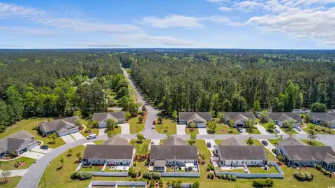 View/Area - 143 Rose Water Loop, Myrtle Beach, SC 29588 photo 4 of 4
