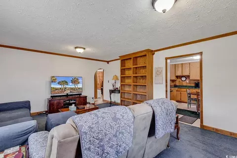 Living - 1186 Pine Loop Rd, Conway, SC 29526 photo 2 of 4